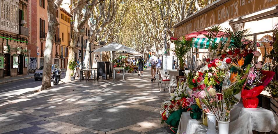 ホテル Rambla Palma Center エクステリア 写真