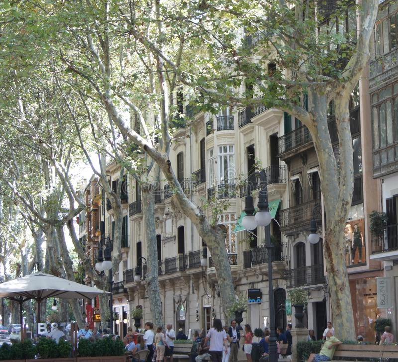 ホテル Rambla Palma Center エクステリア 写真