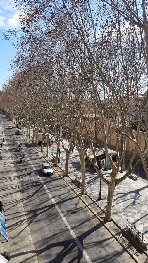 ホテル Rambla Palma Center エクステリア 写真